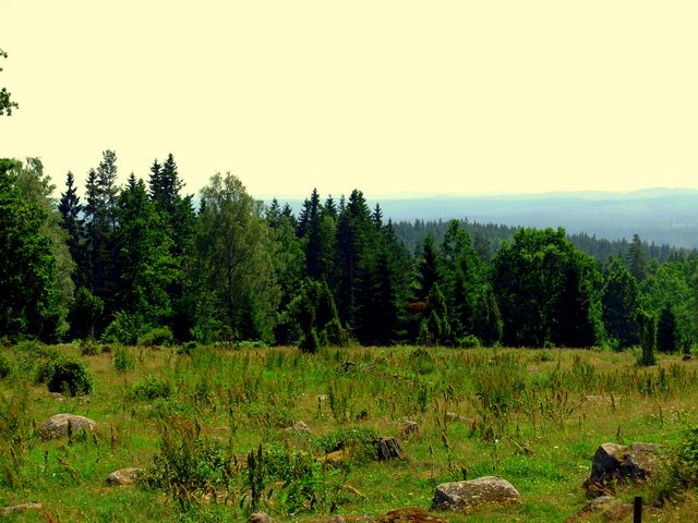 pliki/Strona/Strony/Podroze/Daleko_od_domu/Jak_po_pewnych_schodach_trafilismy_do_USA/fot.06.jpg