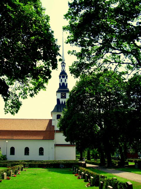 pliki/Strona/Strony/Podroze/Daleko_od_domu/Jak_po_pewnych_schodach_trafilismy_do_USA/fot.08.jpg